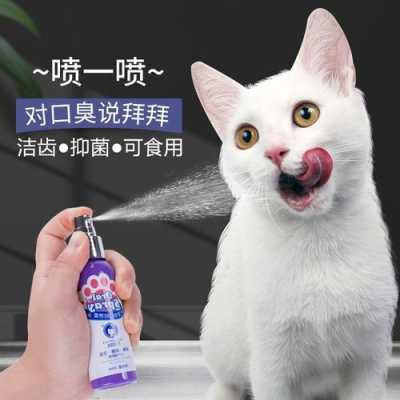 怎么清洁猫嘴巴（猫嘴脏了怎么擦）